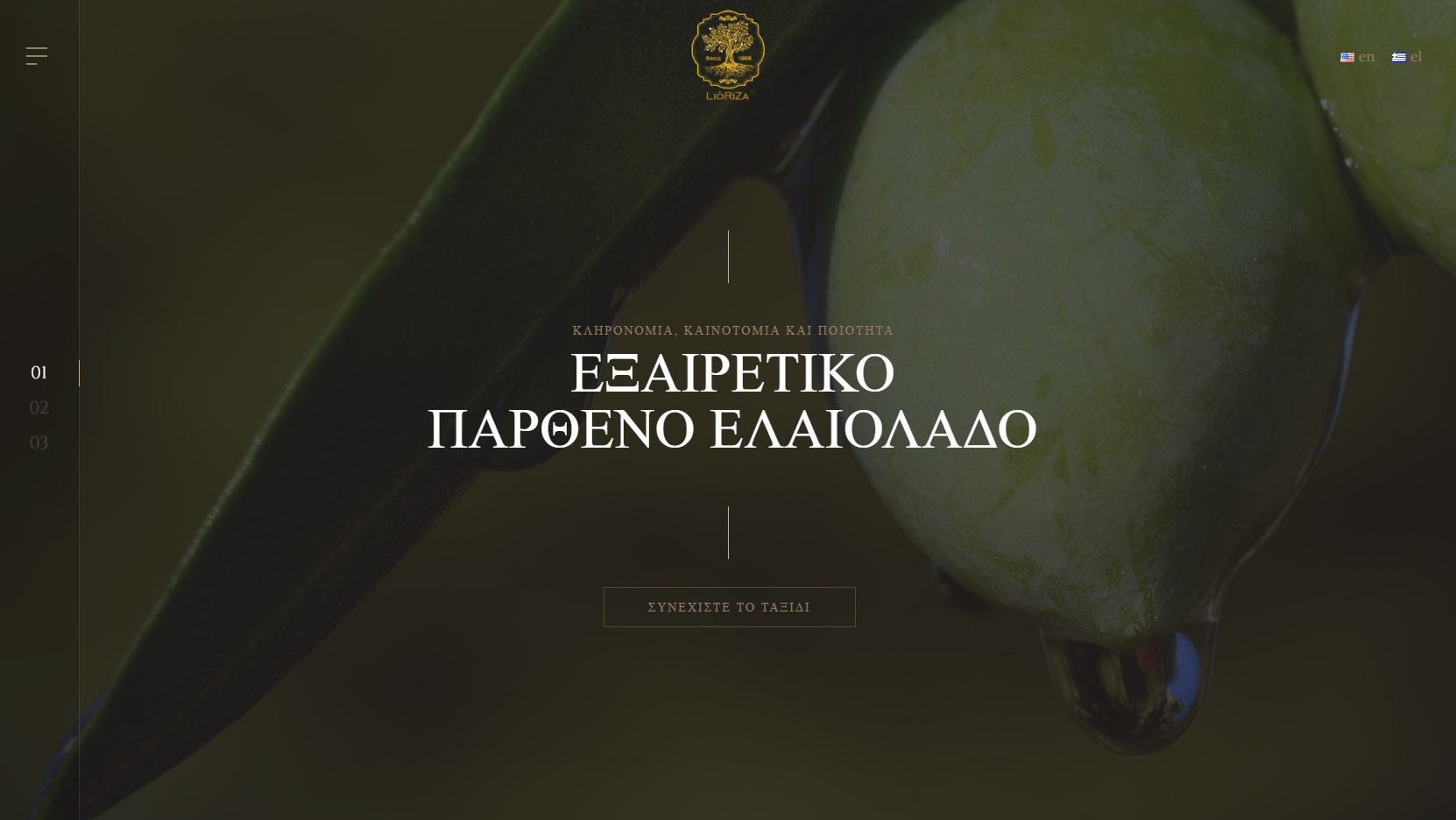 Κατασκευή ιστοσελίδας: Lioriza