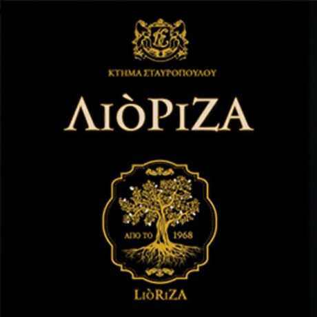 Κατασκευή ιστοσελίδας: Lioriza