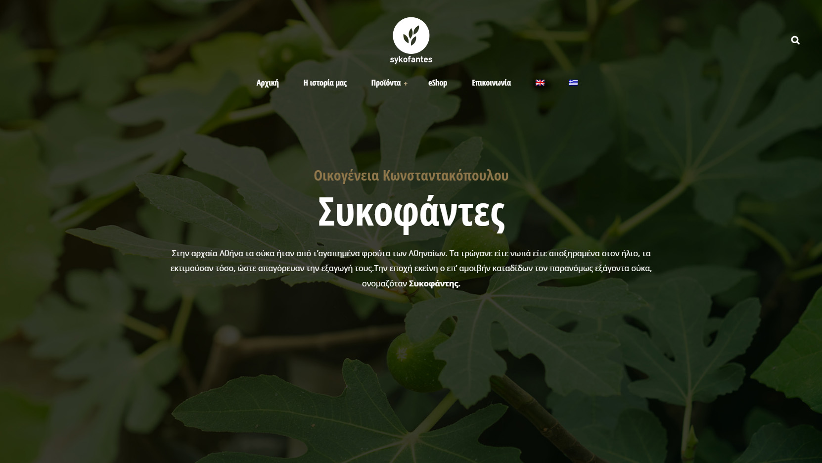 Κατασκευή ιστοσελίδας: Συκοφάντες