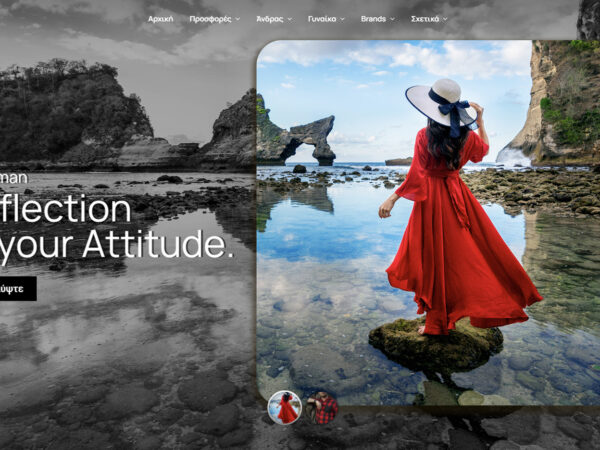 Κατασκευή eShop: Zipit