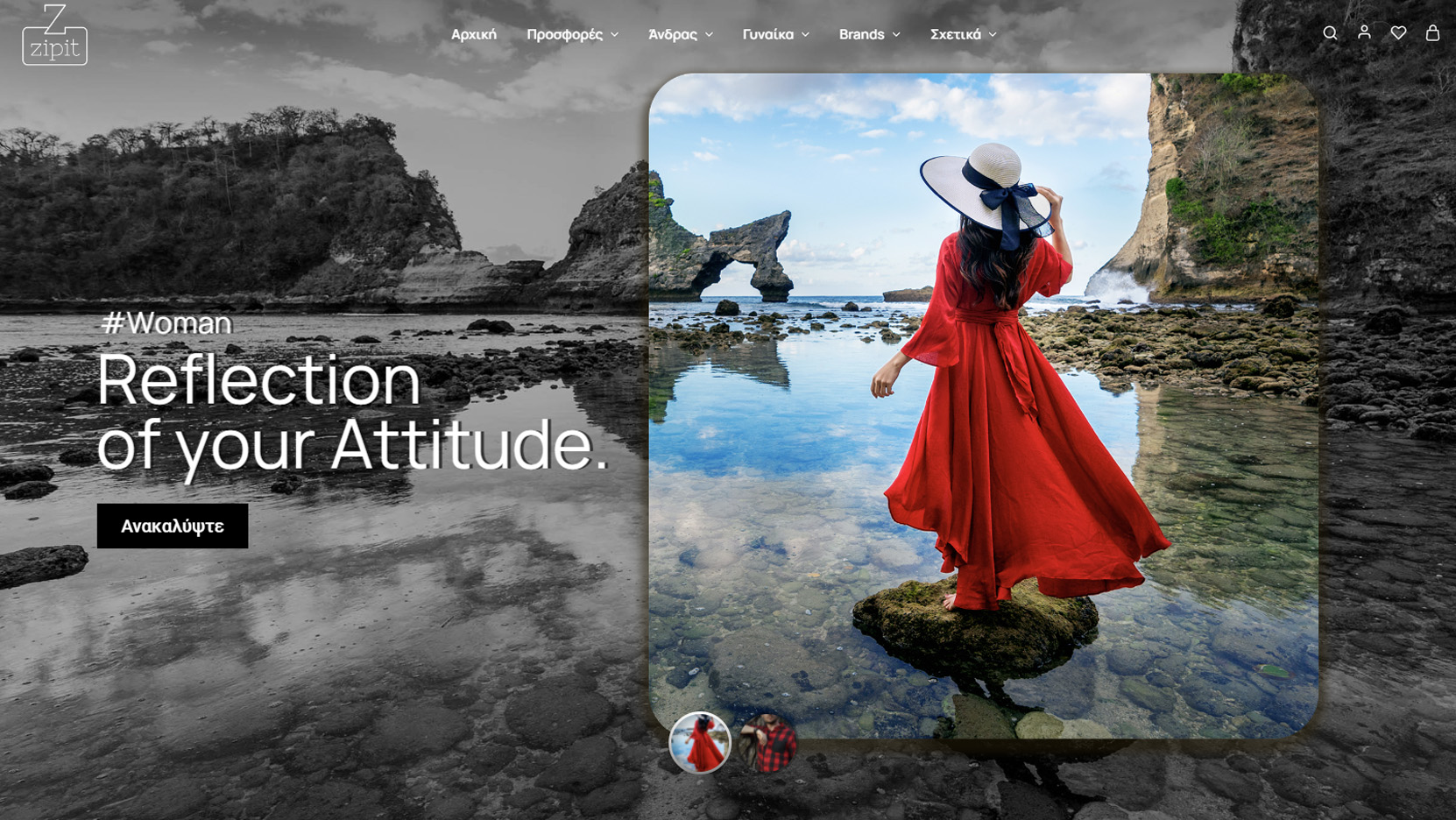 Κατασκευή eShop: Zipit