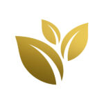 DNS Medical