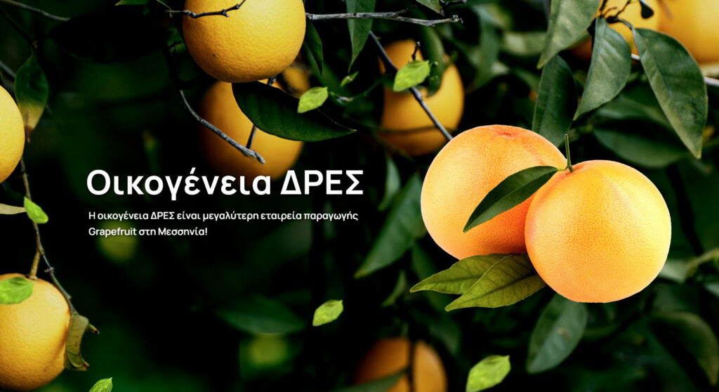 Ιστοσελίδα ΔΡΕΣ Grapefruit · έργο Tasios Designs